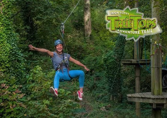 Tree Tops Trail