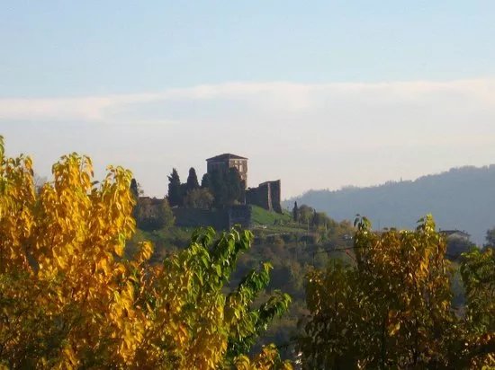 Castello di Arzignano