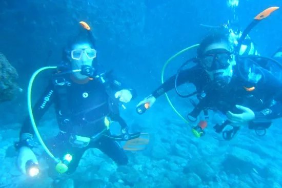 Diving Puglia D.C