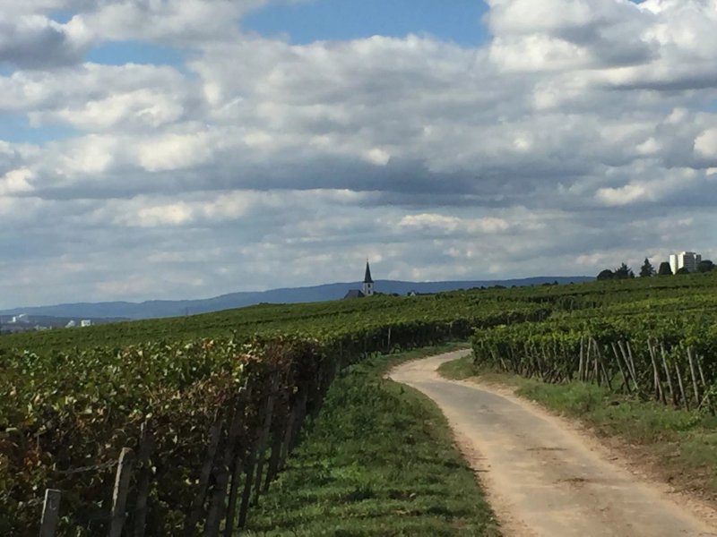 Weingut Weilbacher & Gutsausschank Klosterhof