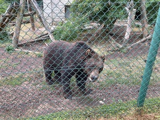 Freizeitpark Possen Sondershausen