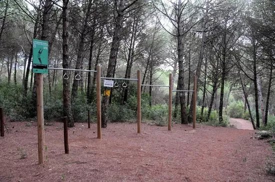 Parque Urbano do Rio da Figueira