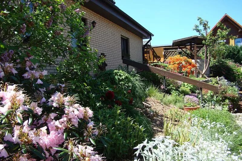Apartment with balcony in a quiet, sunny location on the outskirts of Saxon