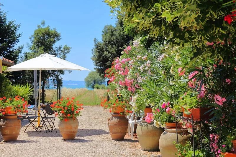 Holiday Apartment in farmhouse - Diospiro - Residenze San Martino