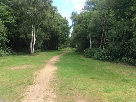 Dartford Heath