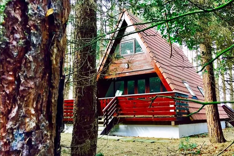 Pet-friendly Scandinavian A-Frame woodland retreat on the North Norfolk coast!
