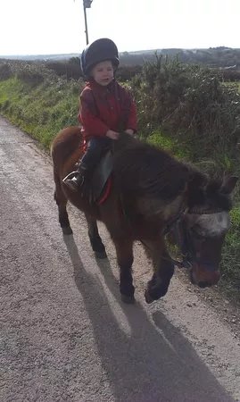 Goonbell Riding Centre