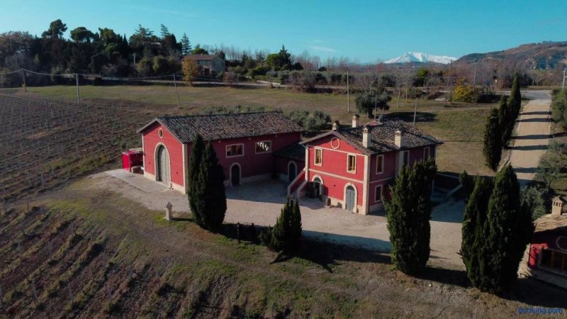 Cantina D'Erasmo - Camere e Degustazioni
