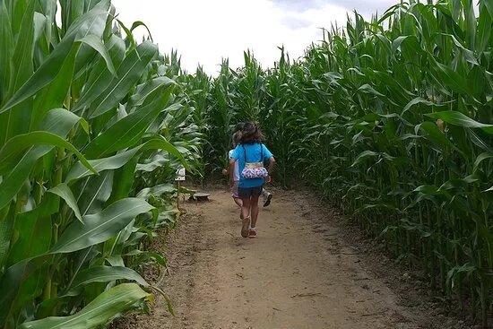 Association Labyrinthe de Normandie