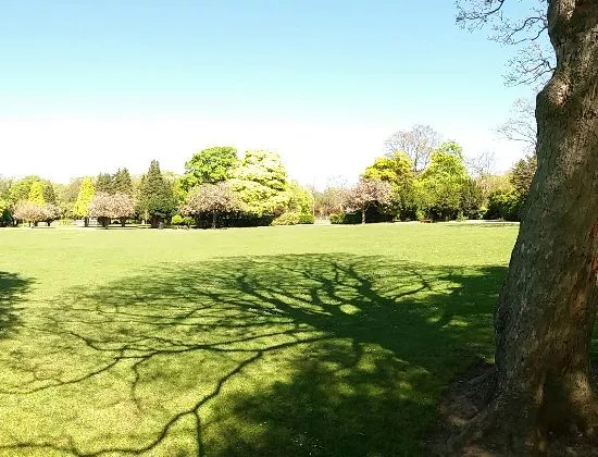 Ward Jackson Park