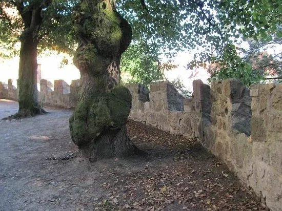 The Town Walls