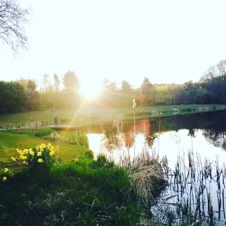 Kingfisher Trout Lake
