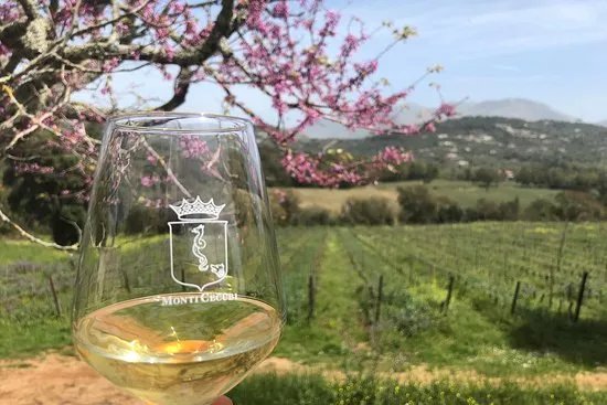 Amyclae Experience - Wine Tour