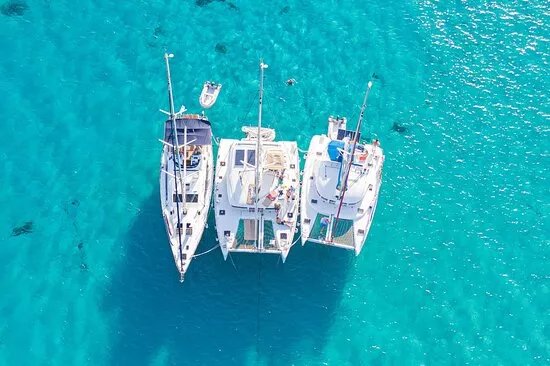Papillon Charter