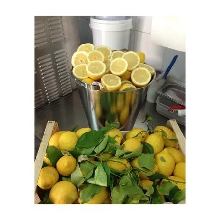 L’AVAMPOSTO GELATERIA