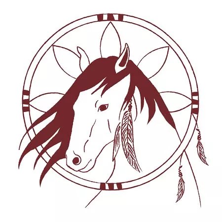 Tenerife Horse Rescue
