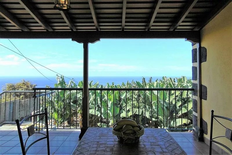 Intimate in a farm between banana trees and avocado trees to enjoy total