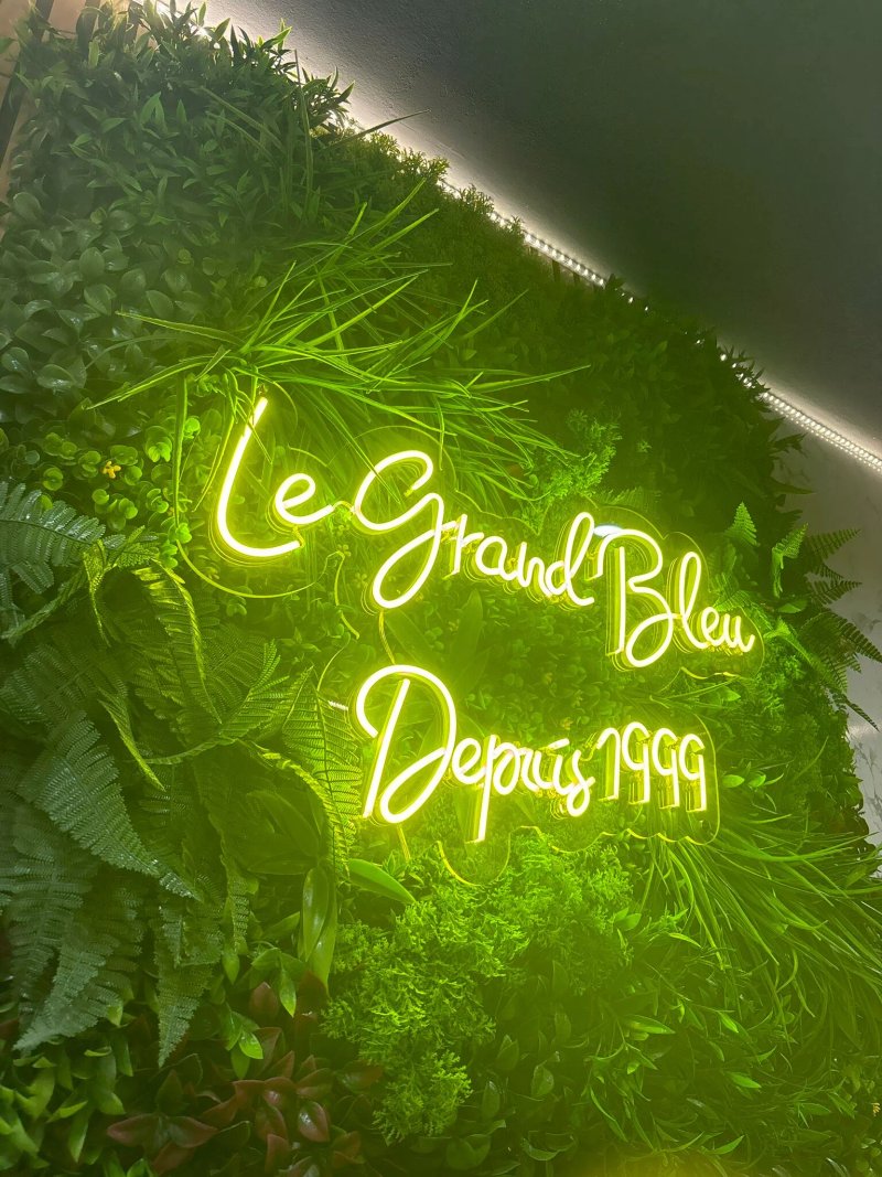 Le Grand Bleu