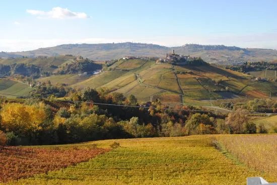 Azienda Agricola Boasso Franco - Gabutti