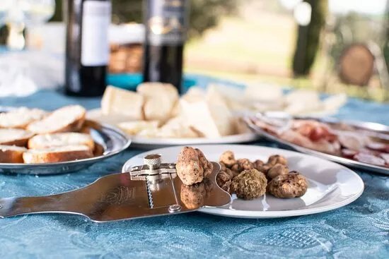 Truffle Trek Caccia Al Tartufo