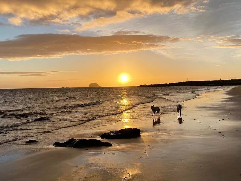 Stunning sea views, dog friendly holiday accommodation in North Berwick