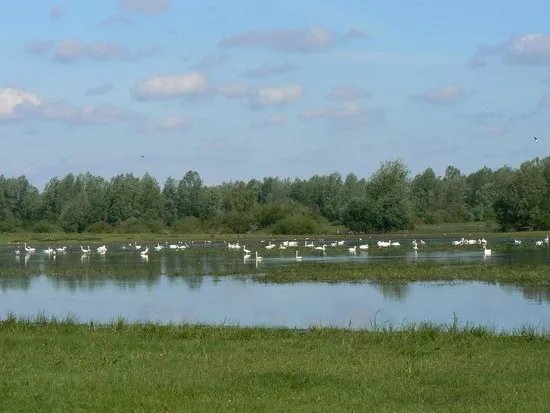 National Park "Warta Mouth"