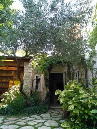 Wine Garden