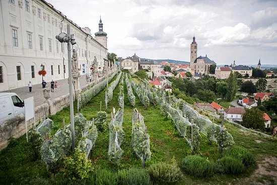 Vinne Sklepy Kutna Hora