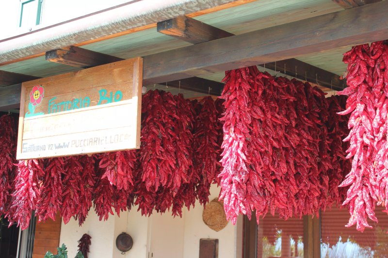Ristorante dell'Agriturismo Fattoria Bio