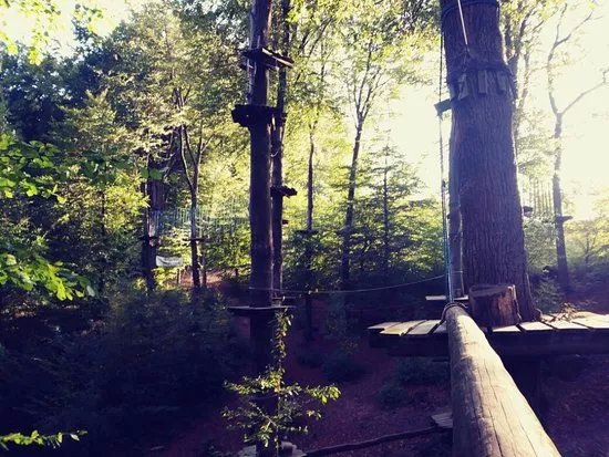 Teammotion Kletterwald Nettetal