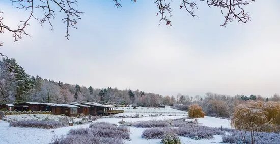 WWT Washington Wetland Centre