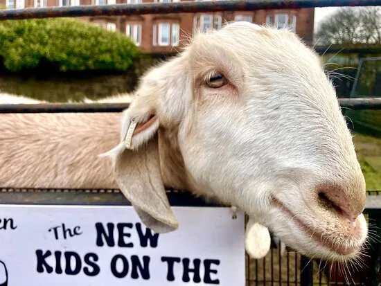 Tollcross Children's Farm