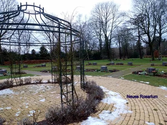 Friedhof Friedenshugel
