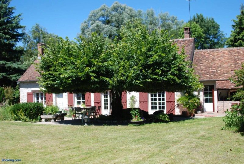 La Petite Marguerite