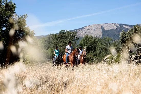 Horse Riding Madrid