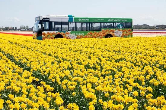 Arriva Nederland