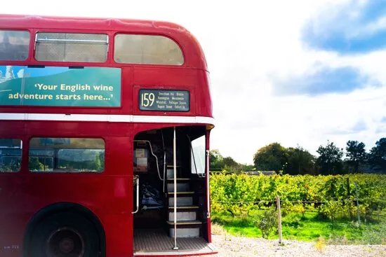 Great British Wine Tours