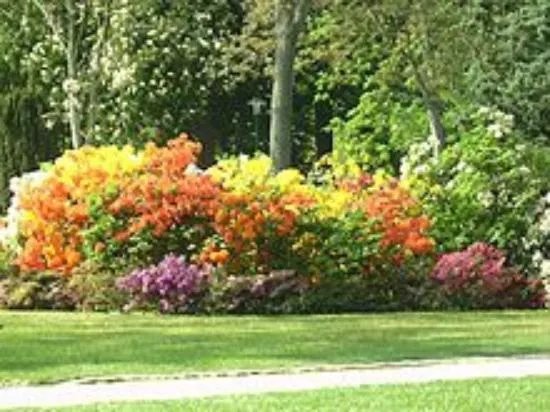 Parks & Nature