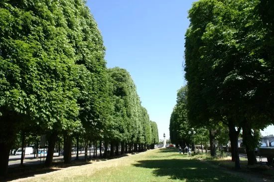 Cours de la Reine