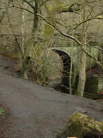 Judy Woods