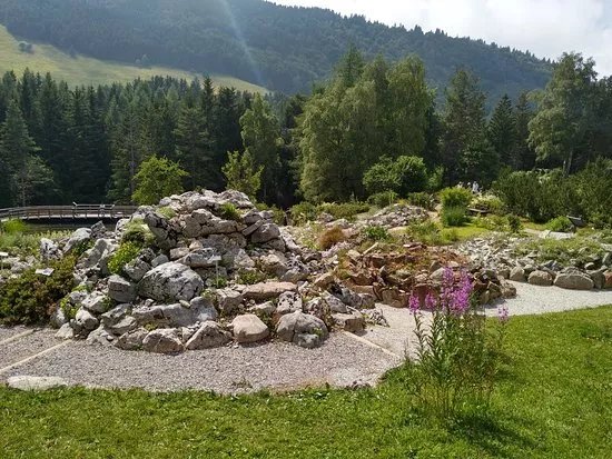 Giardino Botanico Alpino Viote di Monte Bondone