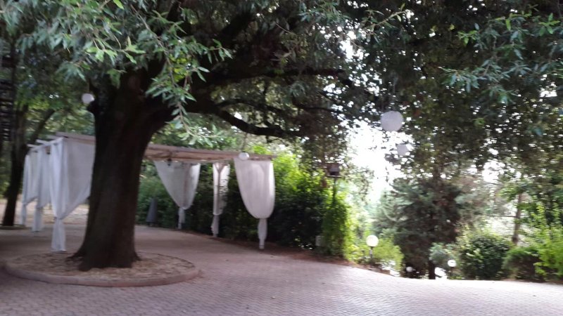 124 Affittacamere Ristorante Pizzzeria