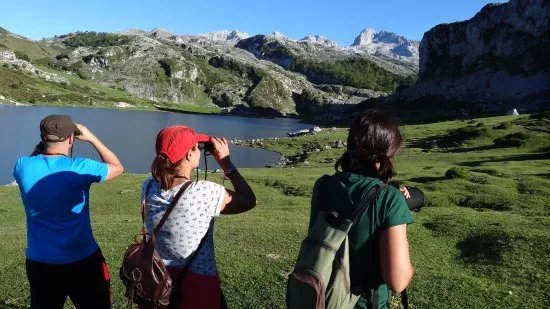 Birdwatch Asturias