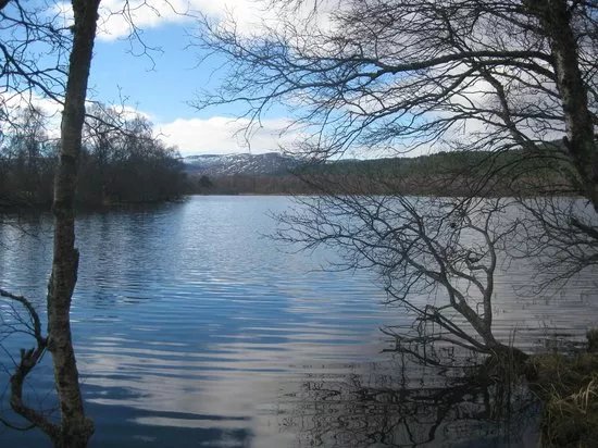 Muir of Dinnet National Nature Reserve
