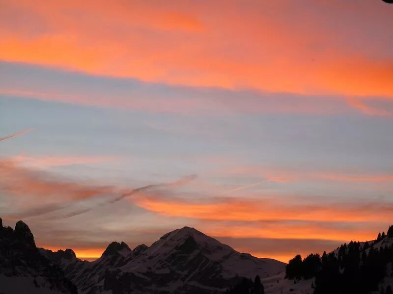 Ski Studio Apartment In Flaine Foret, Near Shops, Restaurants And Activities