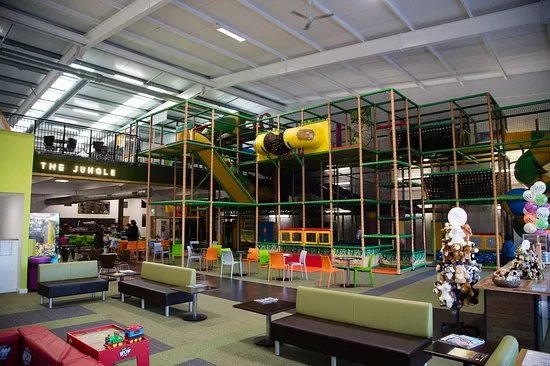The Jungle
