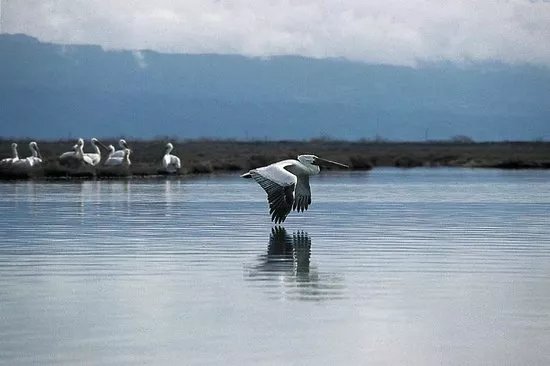 Rodia Wetlands