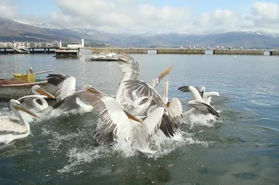 Kastoria Lake