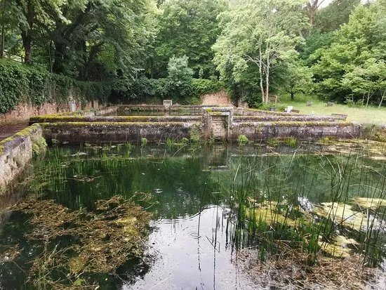 Estanques De Piscifactorias.
