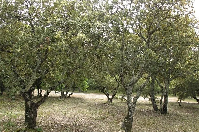 Gordes/Goult - Stunning Mas Provençal On A Hill In Luderon